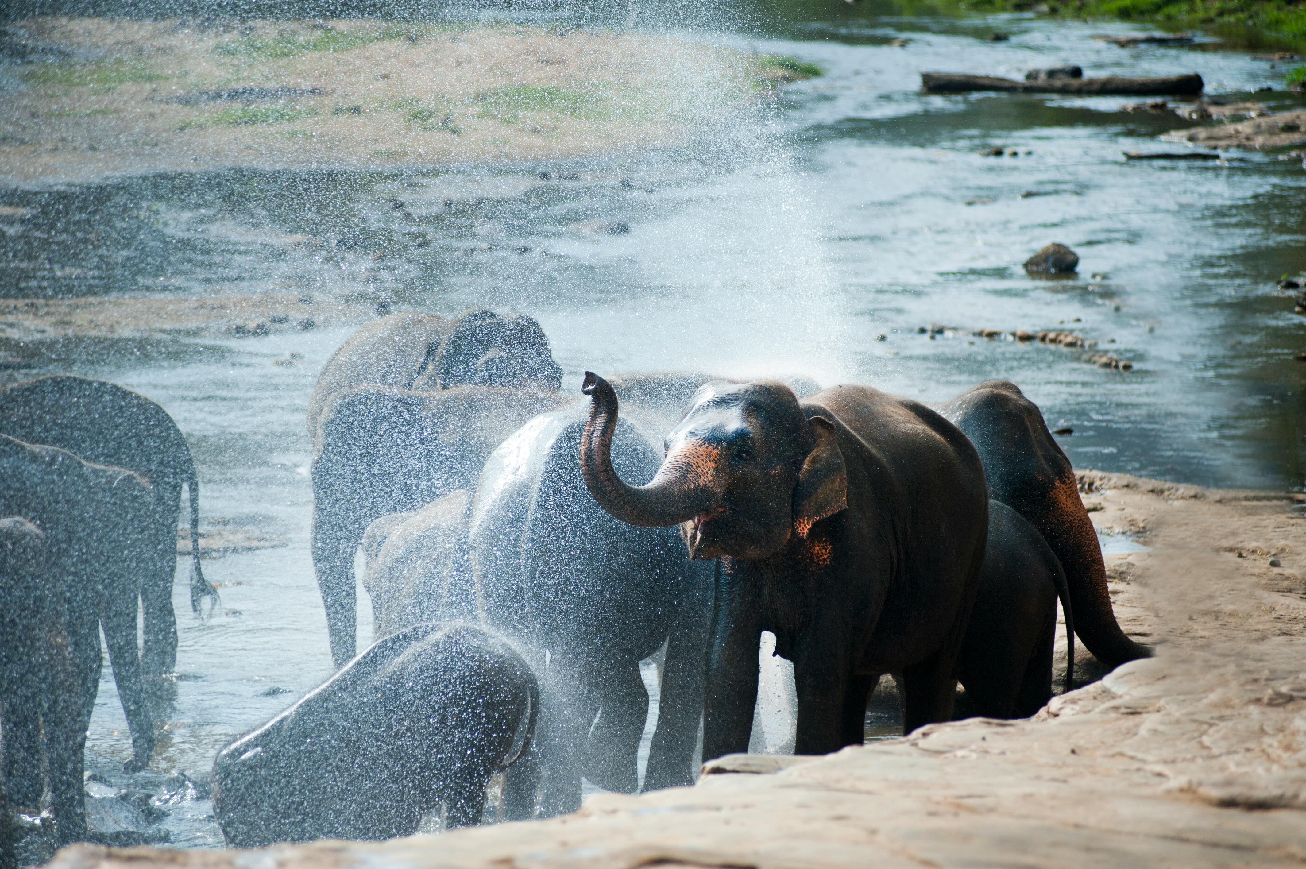 Sri Lanka private tour experience