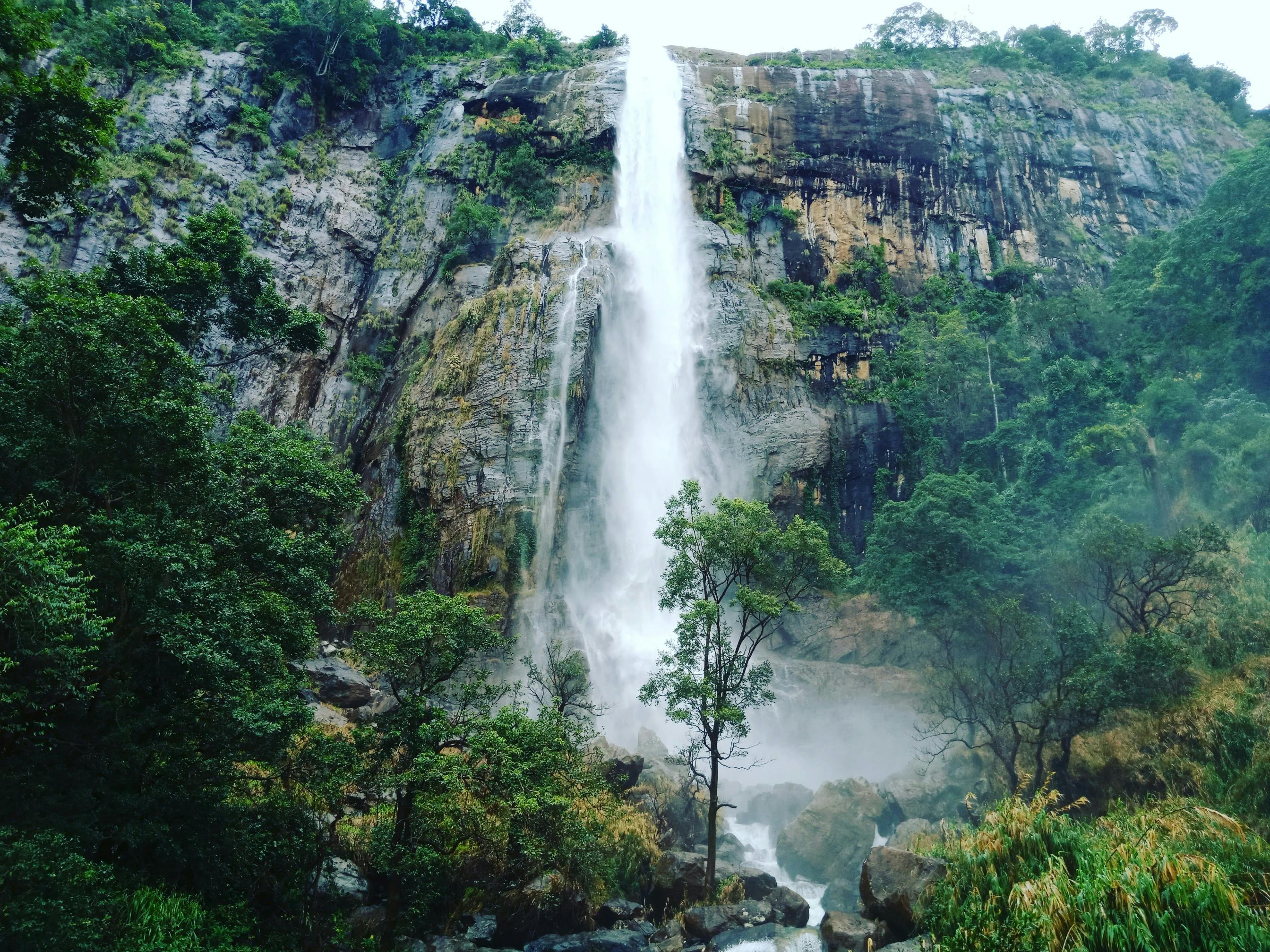 Sri Lanka private tour experience