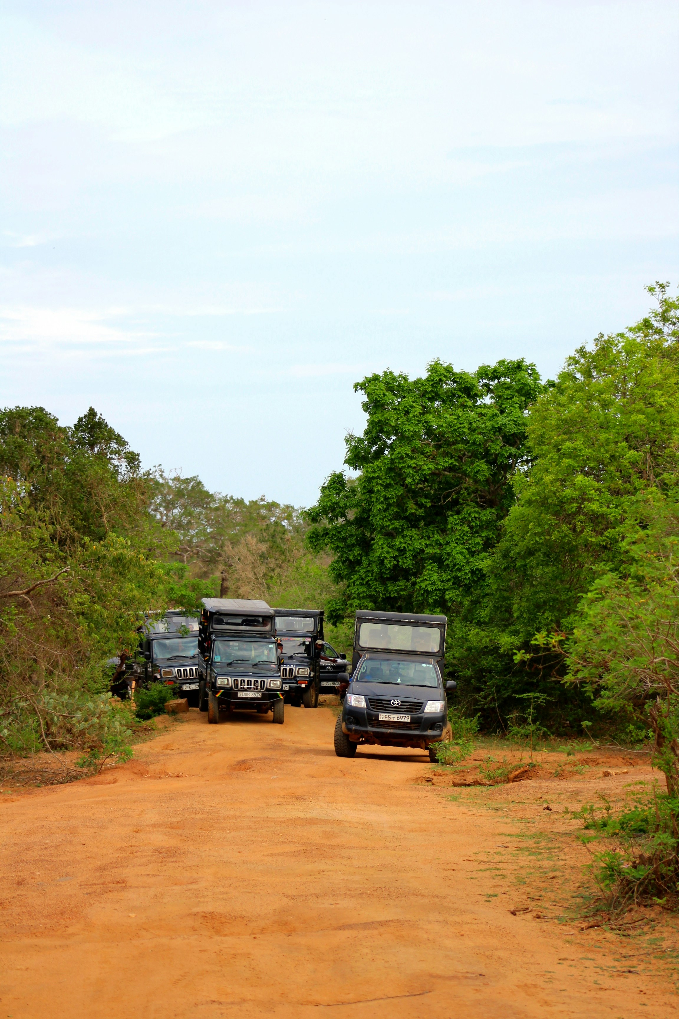 Yala jeep safari